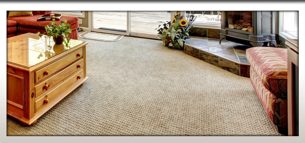 Mr Steam Carpet Care