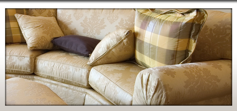 Mr Steam Carpet Care
